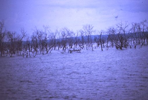 Volta Lake 1971